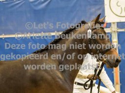 2023_02_18_CHK_Dronten